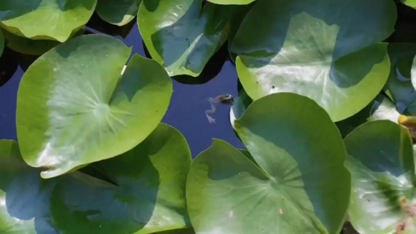 1760946579334161.png s_9474825047e4492d993943dd66abf9a8.png