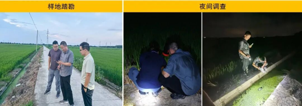 1763359091488928.png s_00a446e453a14c00ba0589b13806d8a3.png