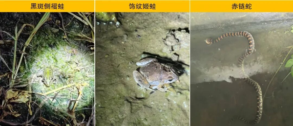 1763359244161583.png s_922da9fdeb4744cf970e917c7813fd05.png